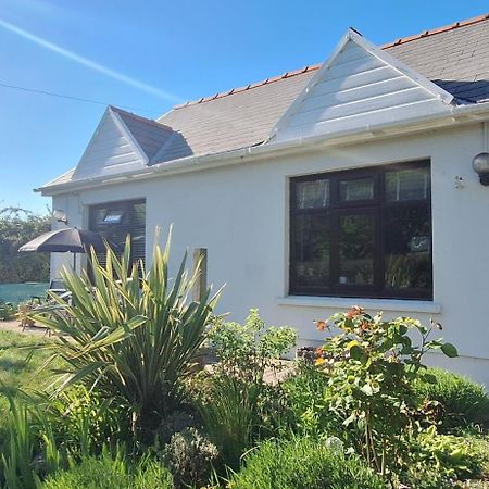 Y Cuddfan Gower Bed and Breakfast Swansea Exteriör bild